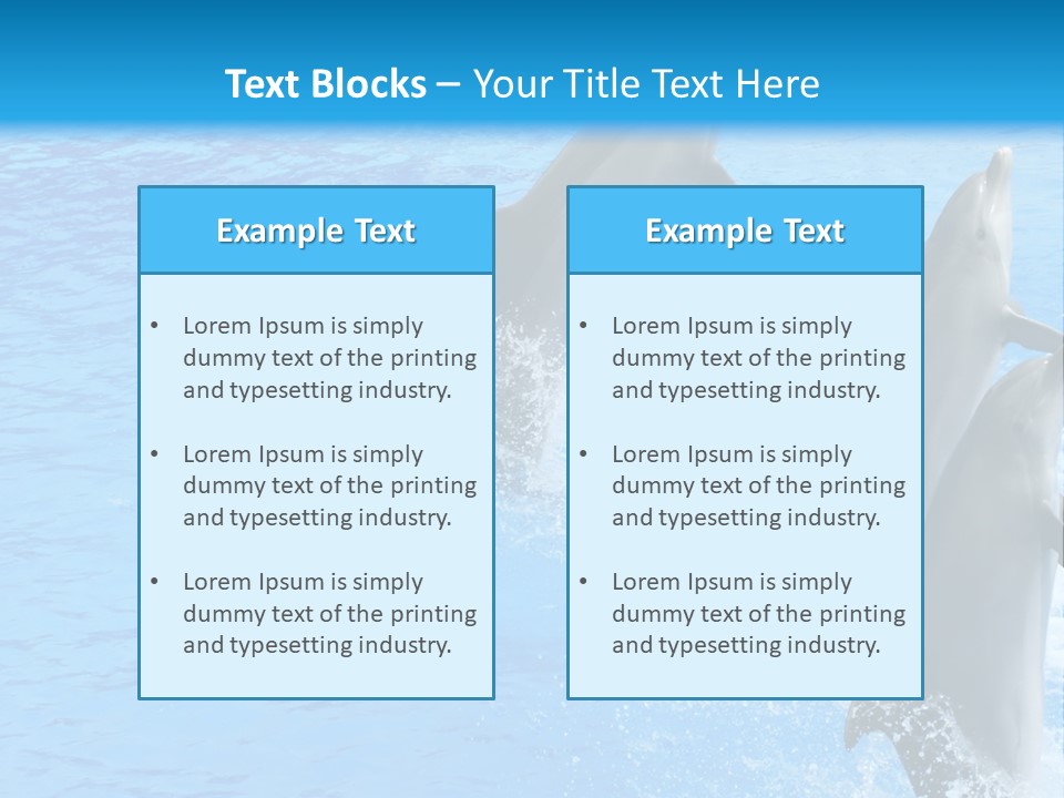 Water Dolphin Jump PowerPoint Template