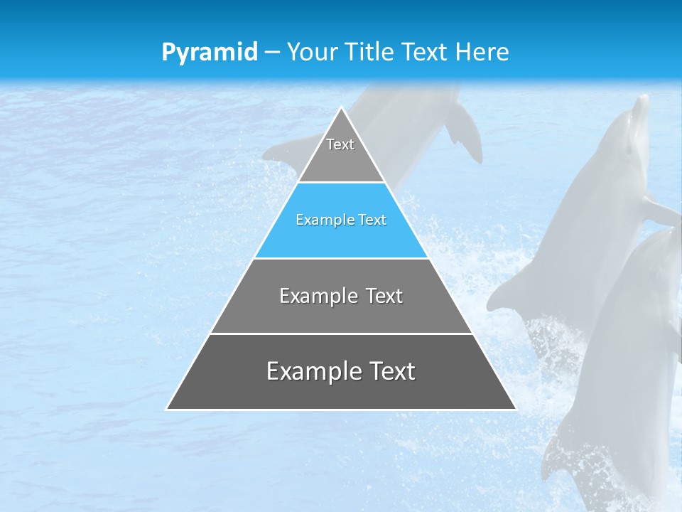 Water Dolphin Jump PowerPoint Template