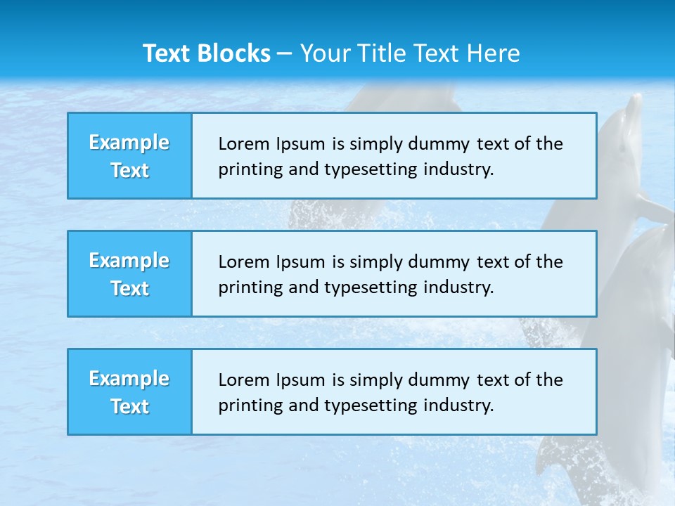 Water Dolphin Jump PowerPoint Template
