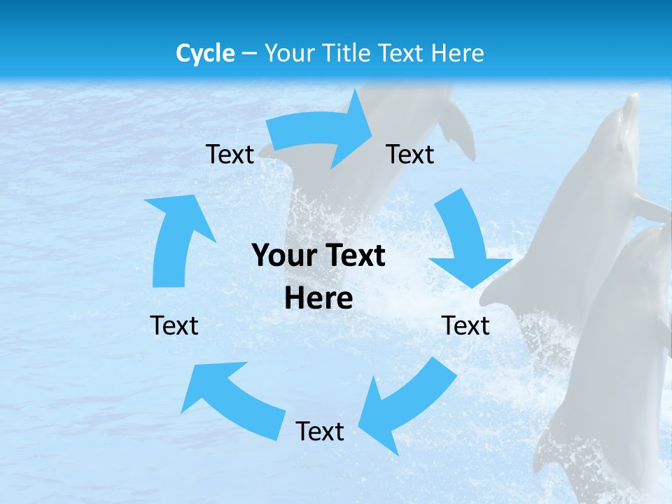 Water Dolphin Jump PowerPoint Template
