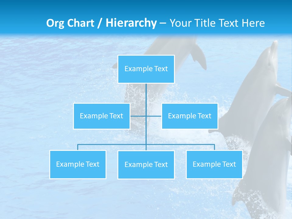 Water Dolphin Jump PowerPoint Template