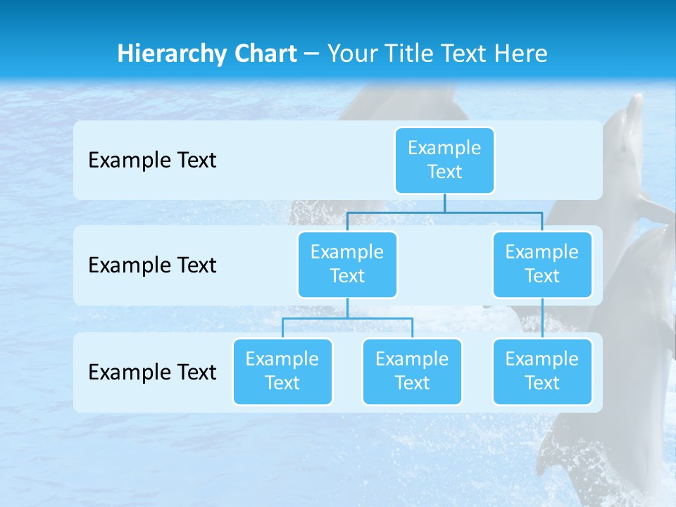 Water Dolphin Jump PowerPoint Template