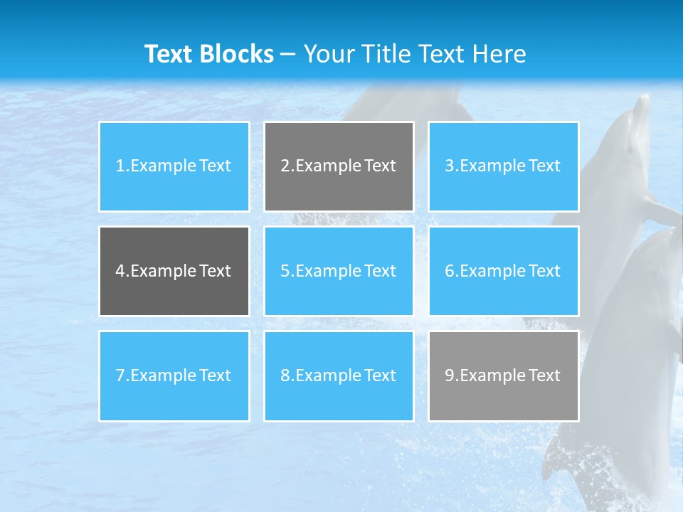 Water Dolphin Jump PowerPoint Template