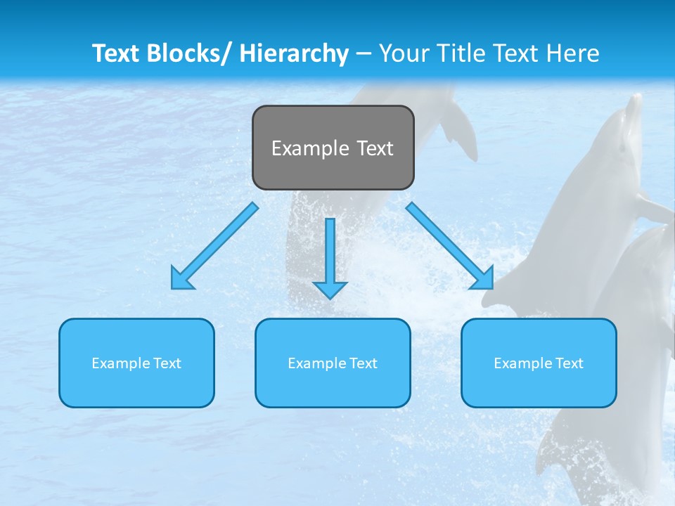 Water Dolphin Jump PowerPoint Template