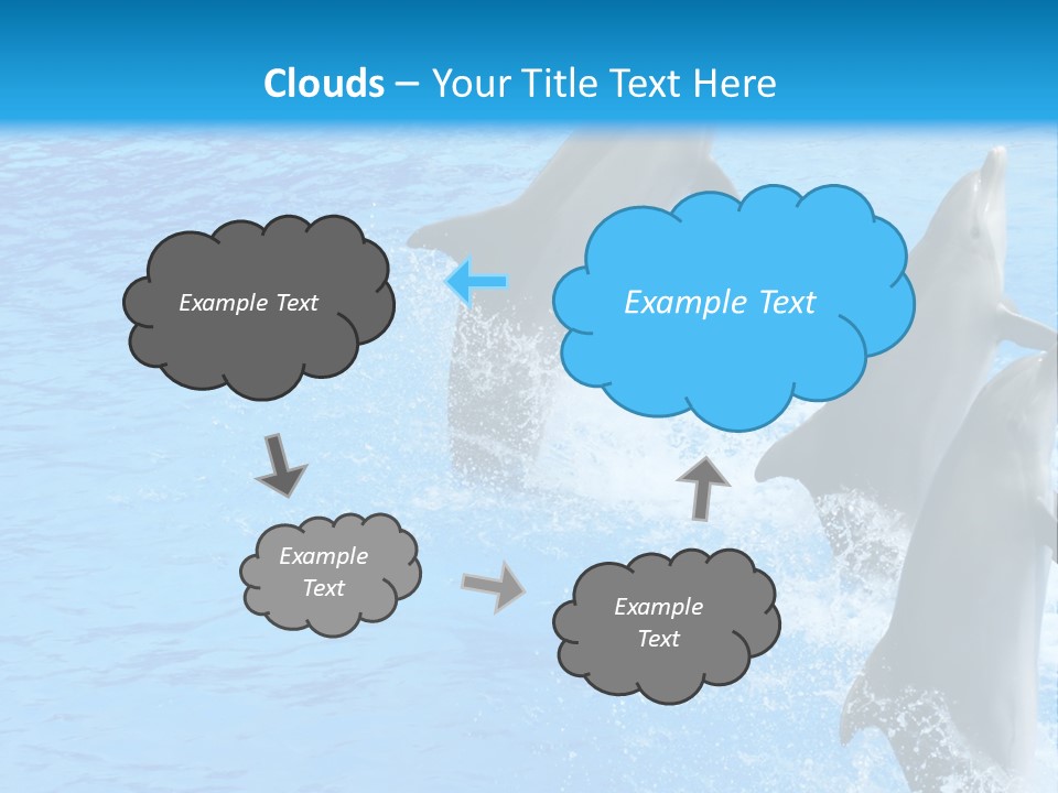 Water Dolphin Jump PowerPoint Template
