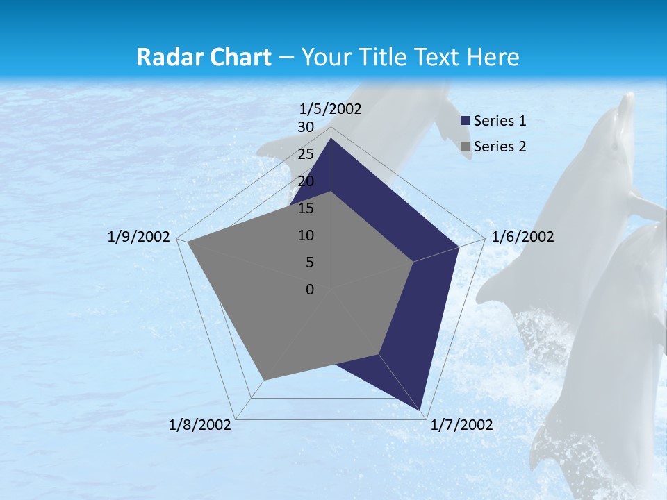 Water Dolphin Jump PowerPoint Template