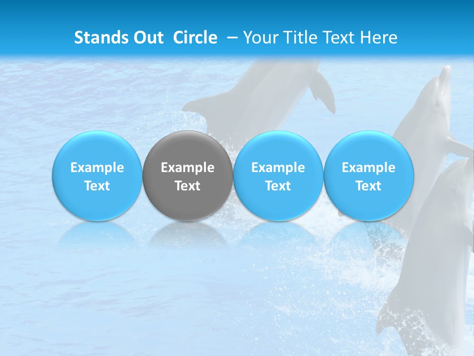 Water Dolphin Jump PowerPoint Template