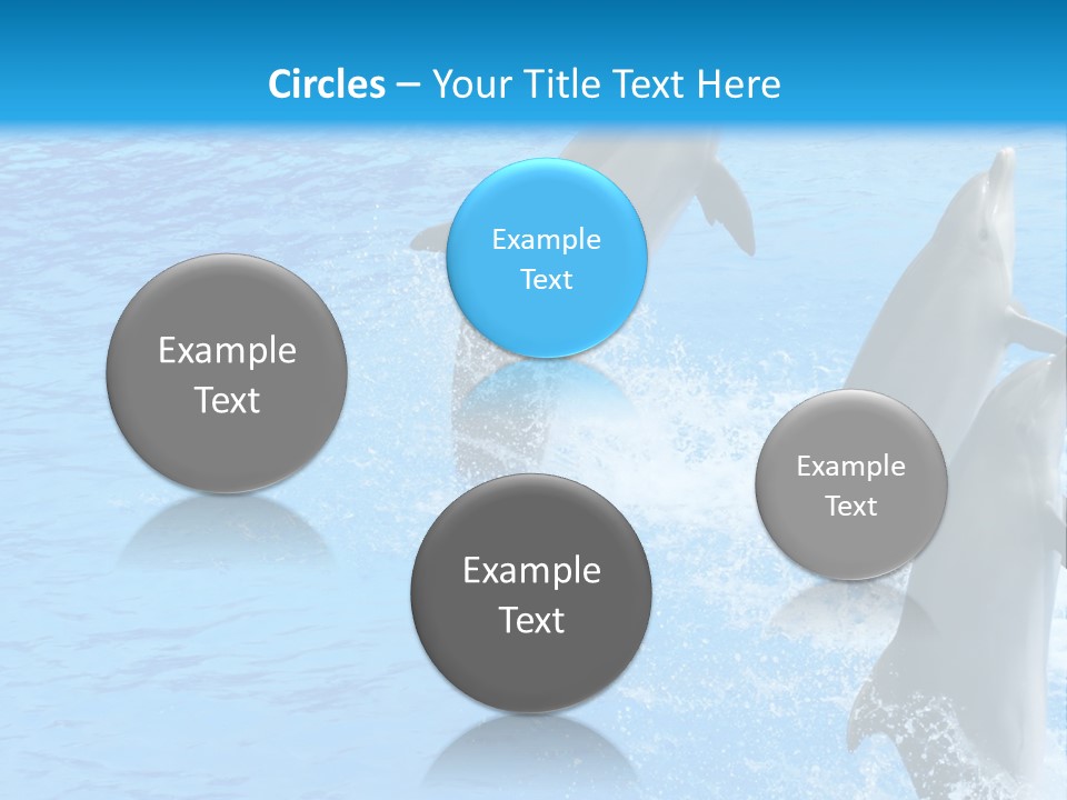 Water Dolphin Jump PowerPoint Template