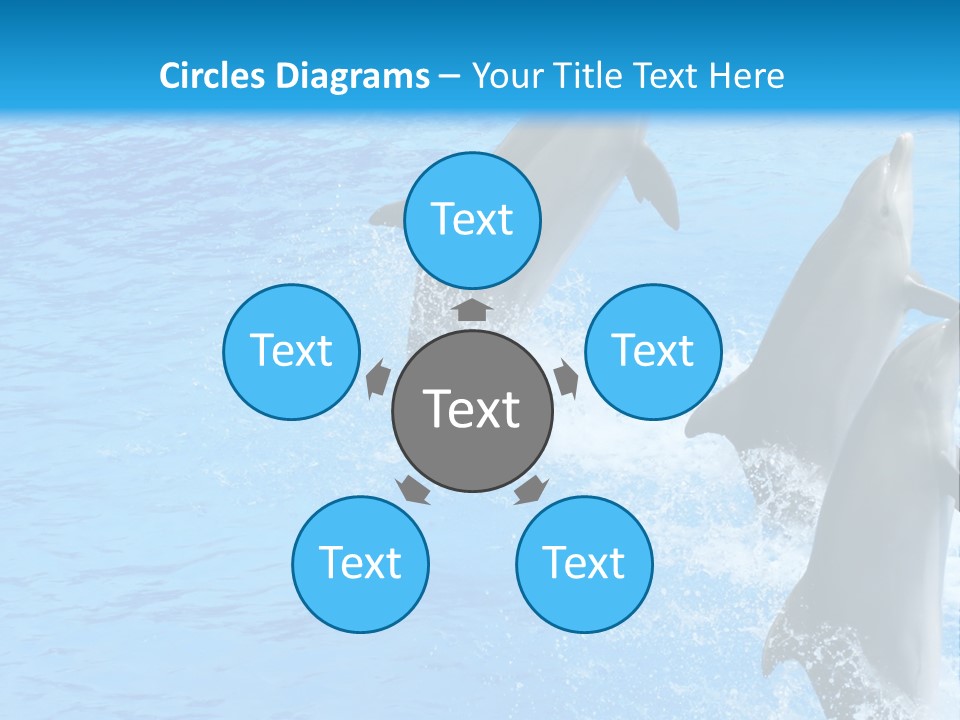 Water Dolphin Jump PowerPoint Template