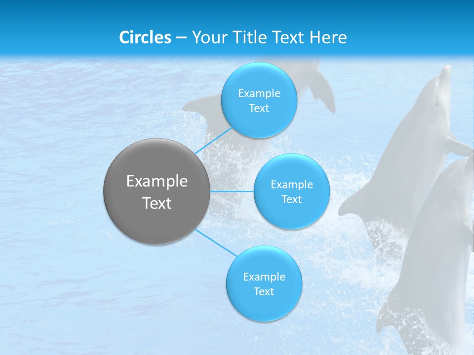 Water Dolphin Jump PowerPoint Template