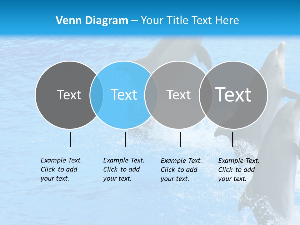 Water Dolphin Jump PowerPoint Template