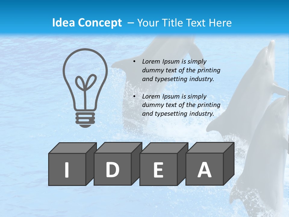 Water Dolphin Jump PowerPoint Template