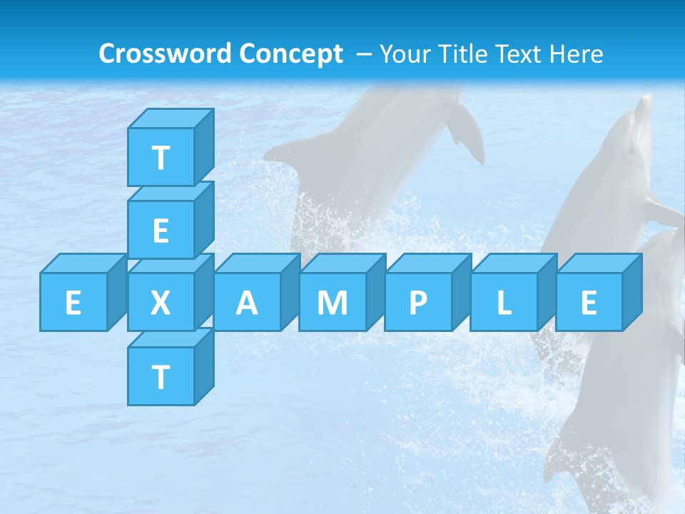 Water Dolphin Jump PowerPoint Template