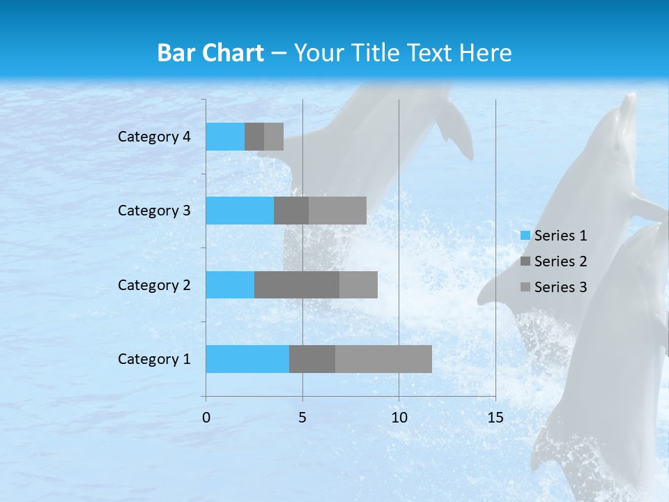 Water Dolphin Jump PowerPoint Template