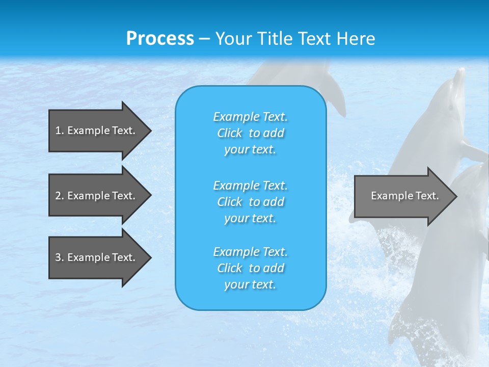 Water Dolphin Jump PowerPoint Template
