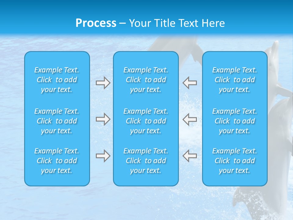 Water Dolphin Jump PowerPoint Template