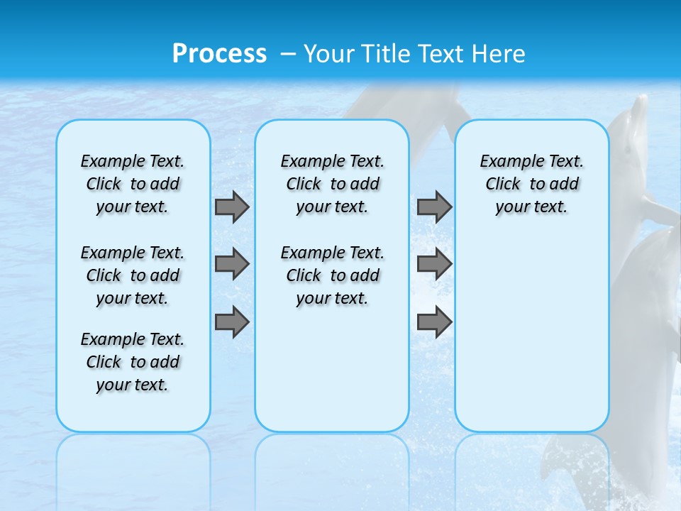 Water Dolphin Jump PowerPoint Template