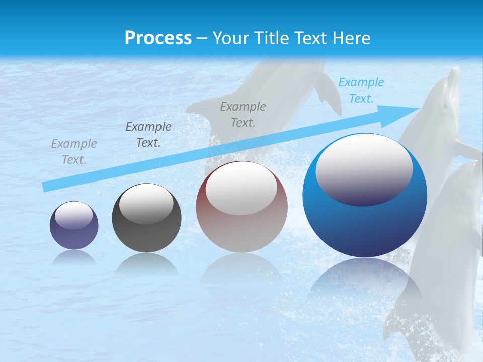 Water Dolphin Jump PowerPoint Template