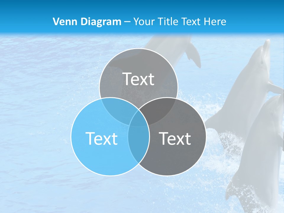 Water Dolphin Jump PowerPoint Template