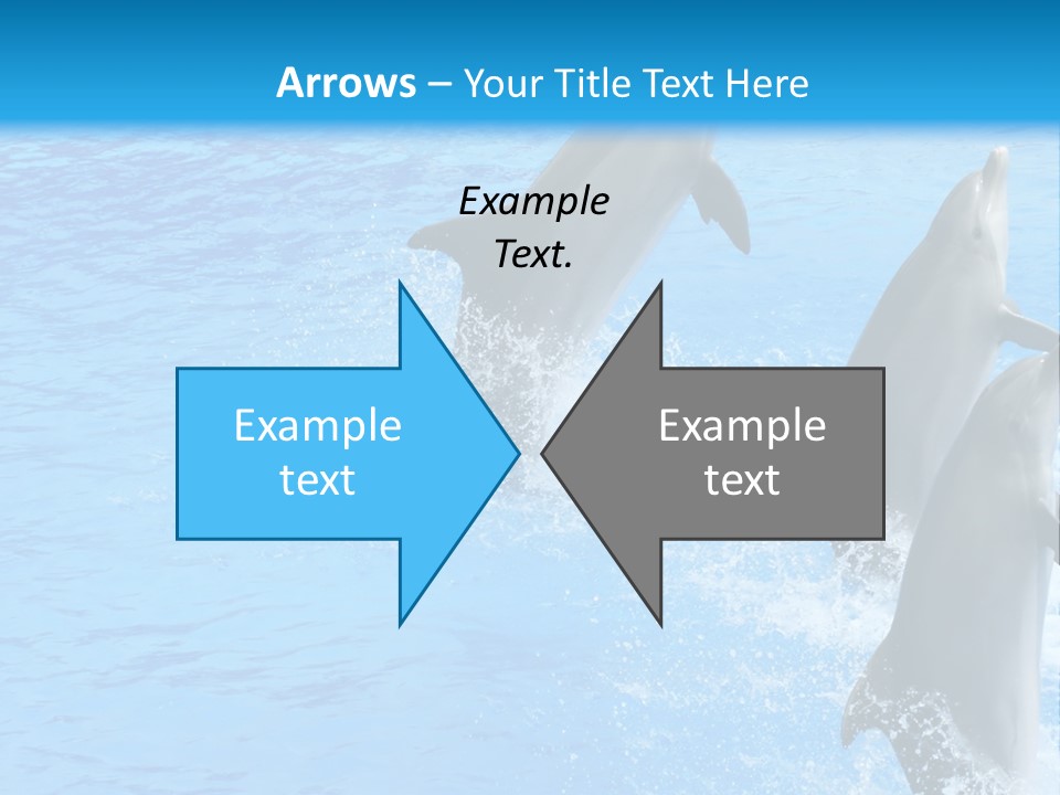 Water Dolphin Jump PowerPoint Template