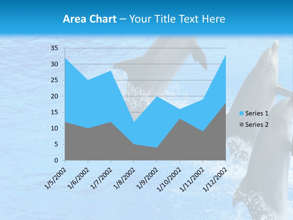 Water Dolphin Jump PowerPoint Template