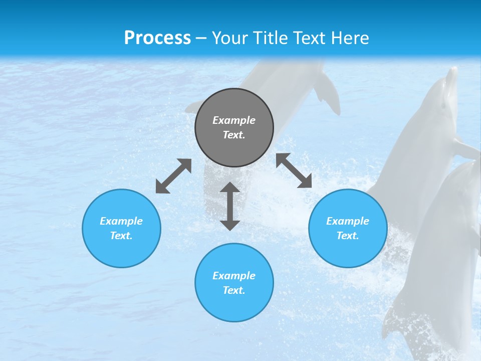 Water Dolphin Jump PowerPoint Template
