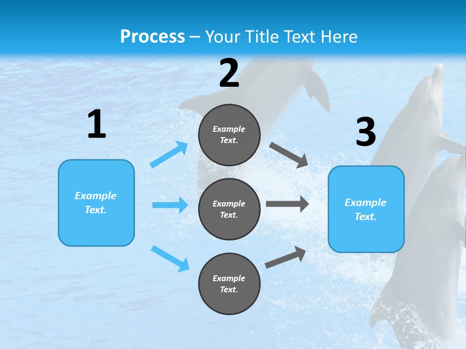 Water Dolphin Jump PowerPoint Template