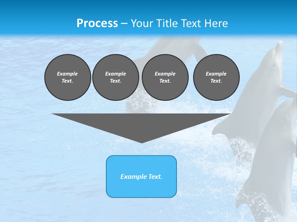 Water Dolphin Jump PowerPoint Template