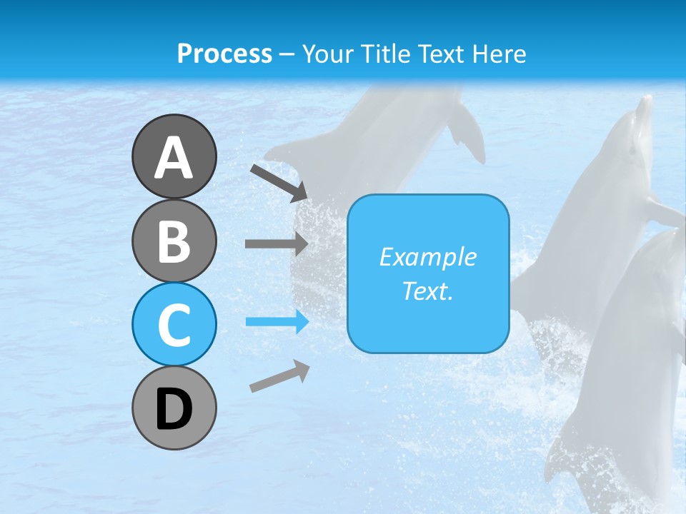 Water Dolphin Jump PowerPoint Template