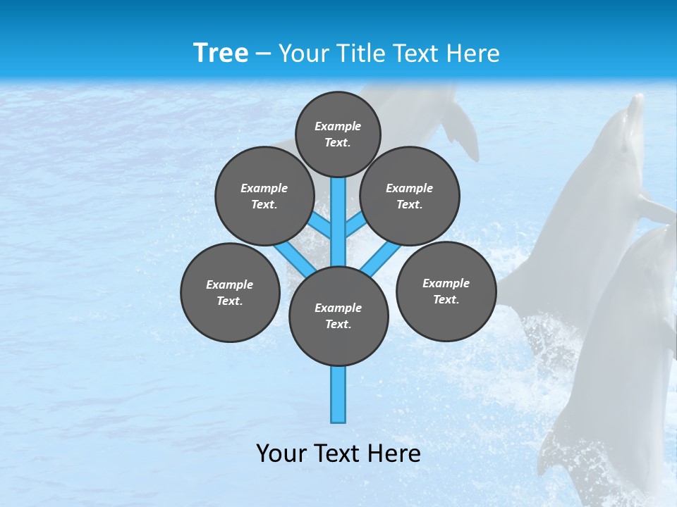 Water Dolphin Jump PowerPoint Template