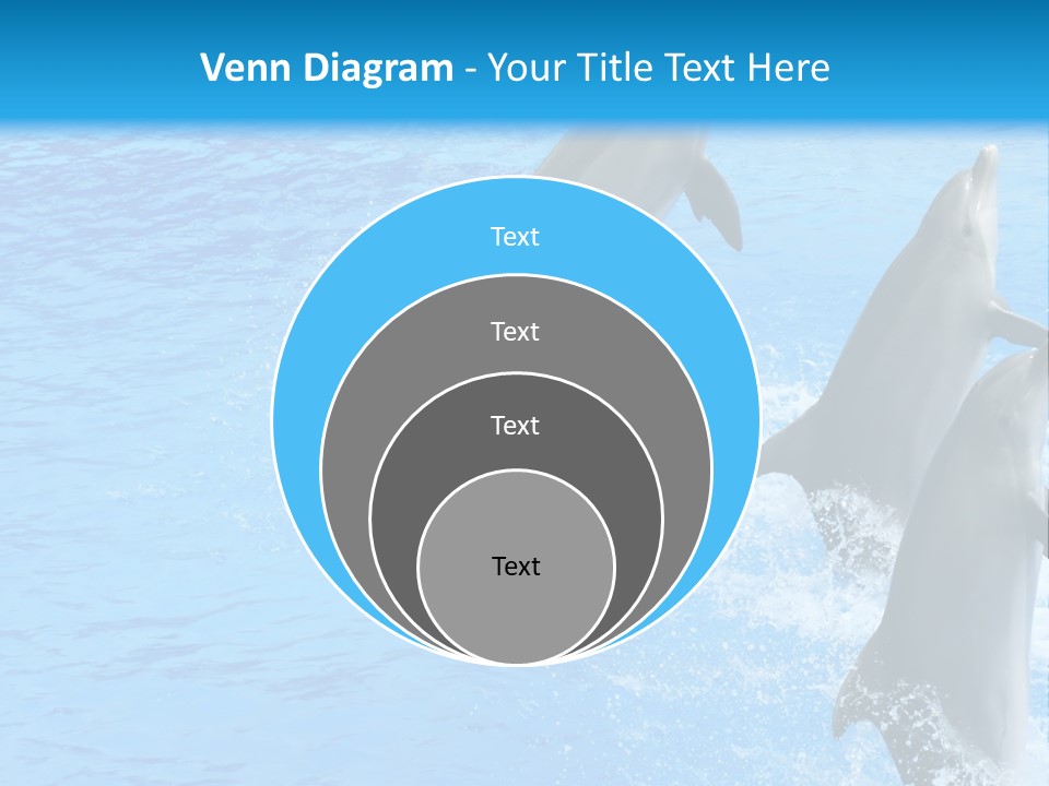 Water Dolphin Jump PowerPoint Template