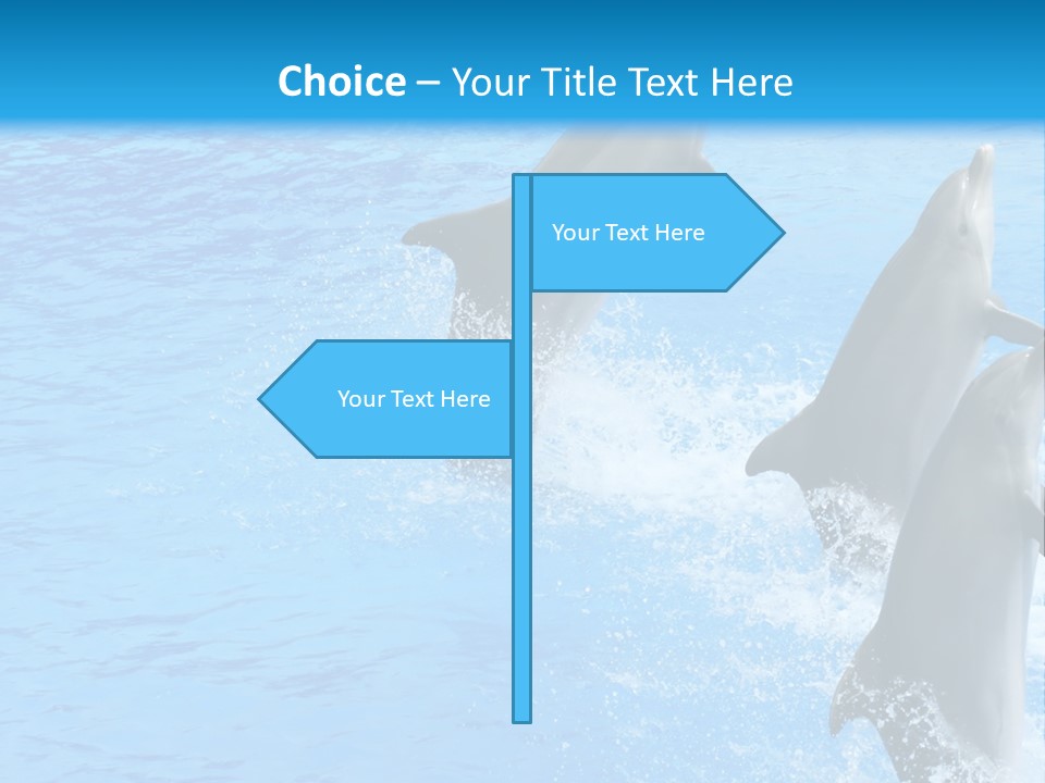 Water Dolphin Jump PowerPoint Template