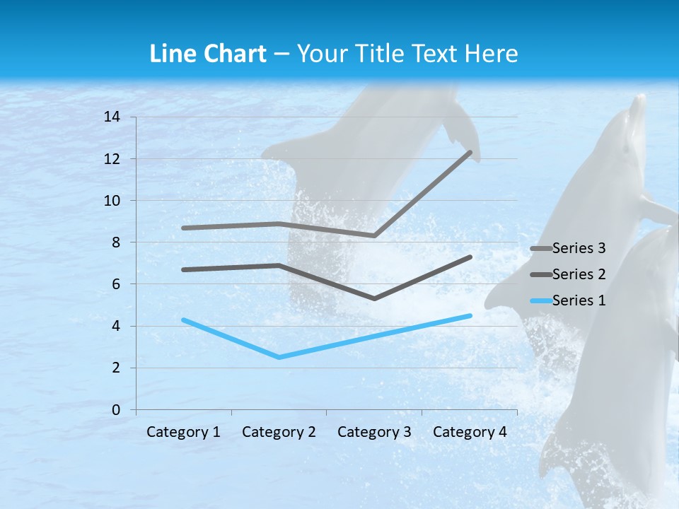 Water Dolphin Jump PowerPoint Template