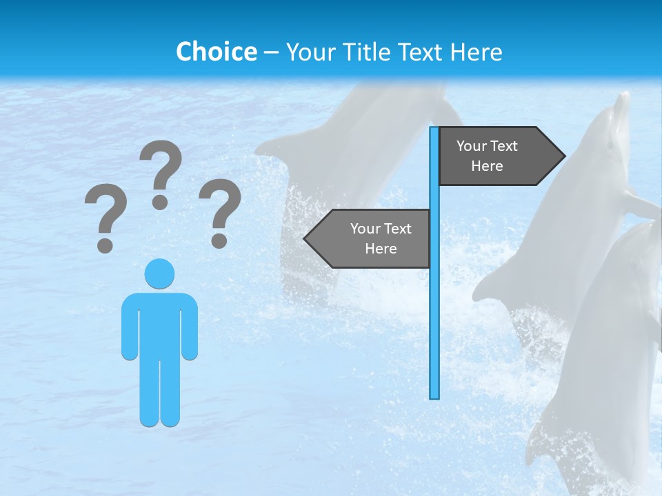 Water Dolphin Jump PowerPoint Template