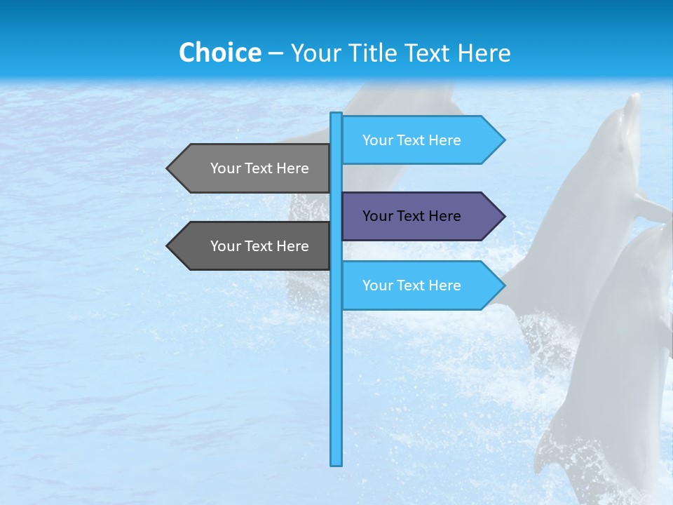 Water Dolphin Jump PowerPoint Template