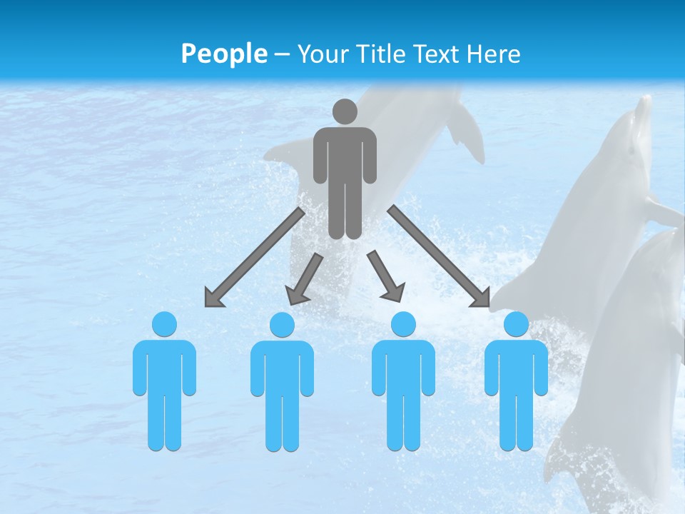 Water Dolphin Jump PowerPoint Template