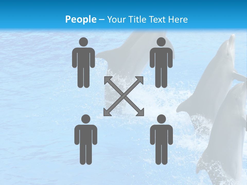 Water Dolphin Jump PowerPoint Template