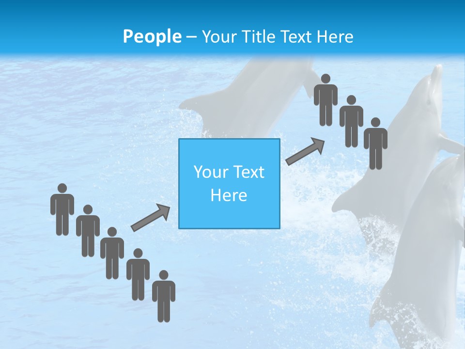 Water Dolphin Jump PowerPoint Template