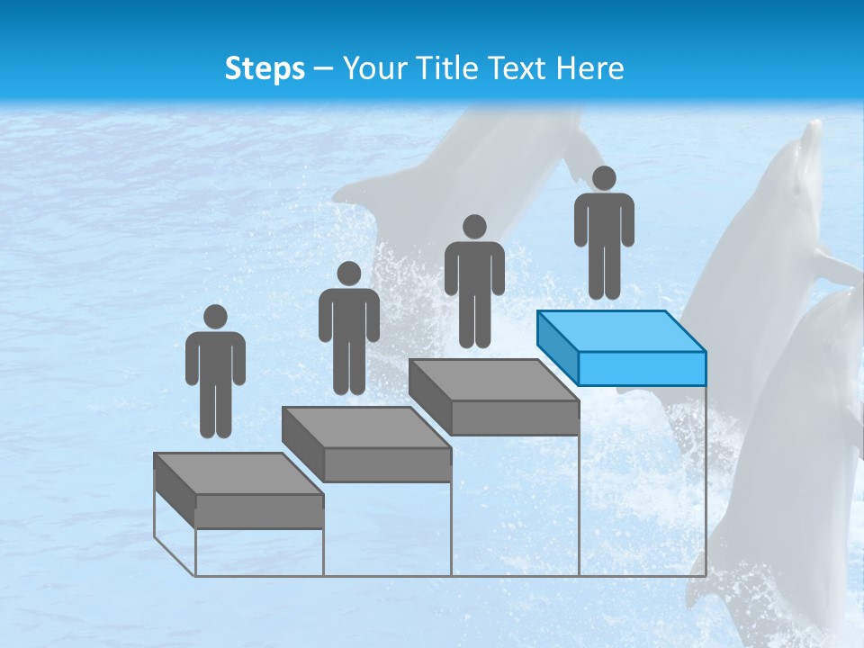 Water Dolphin Jump PowerPoint Template