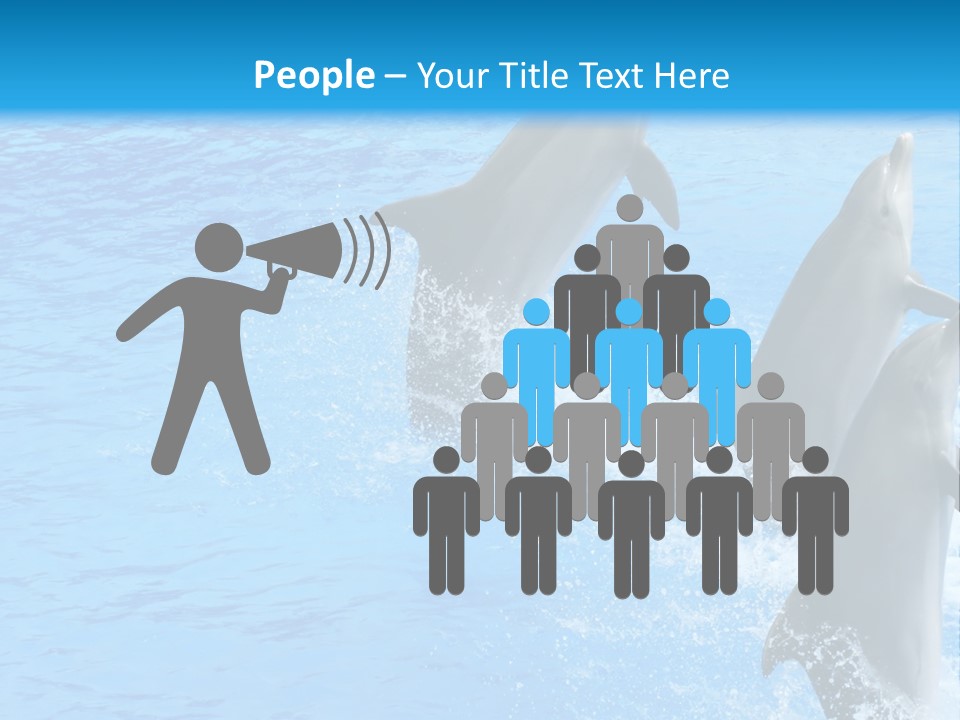 Water Dolphin Jump PowerPoint Template