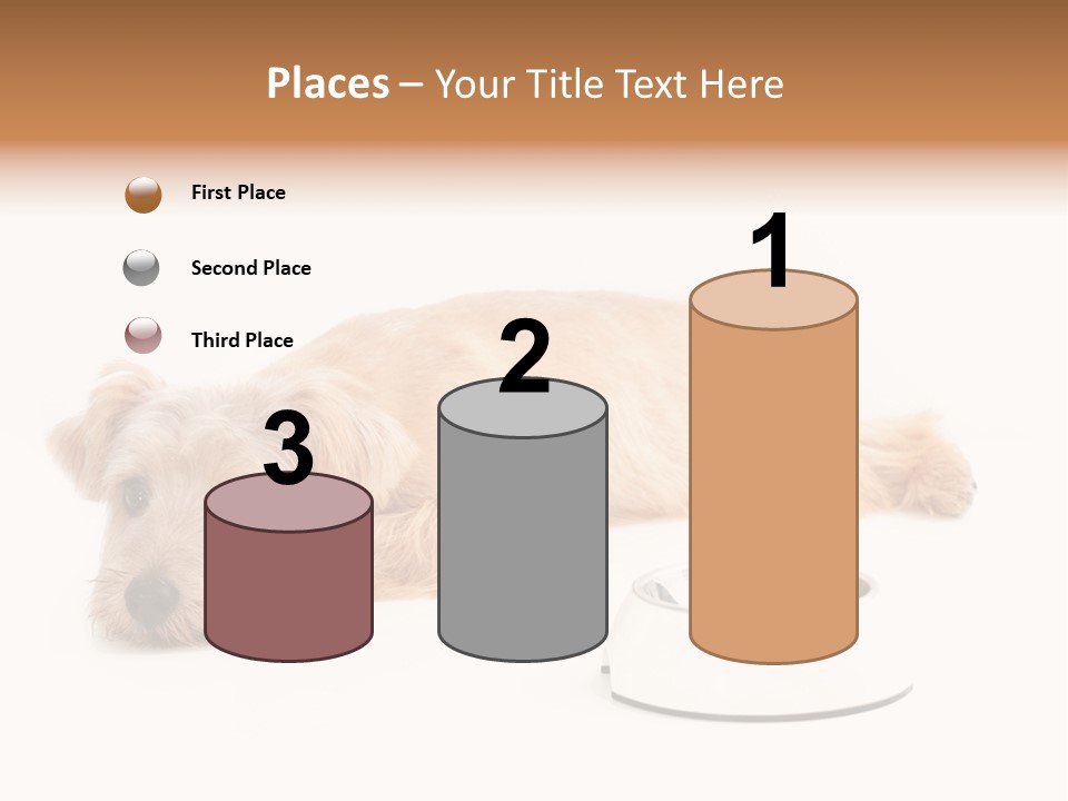 Pet Dish Tongue PowerPoint Template