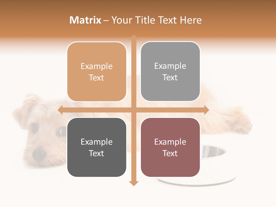 Pet Dish Tongue PowerPoint Template