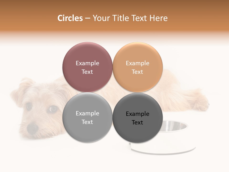 Pet Dish Tongue PowerPoint Template