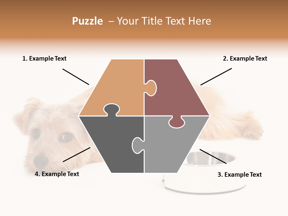 Pet Dish Tongue PowerPoint Template