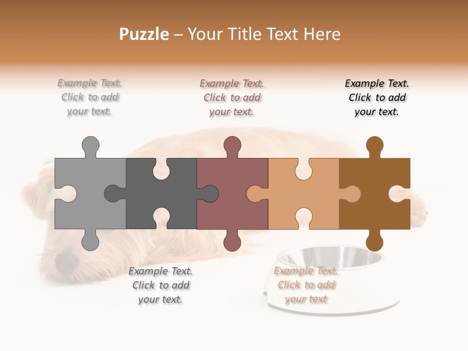 Pet Dish Tongue PowerPoint Template