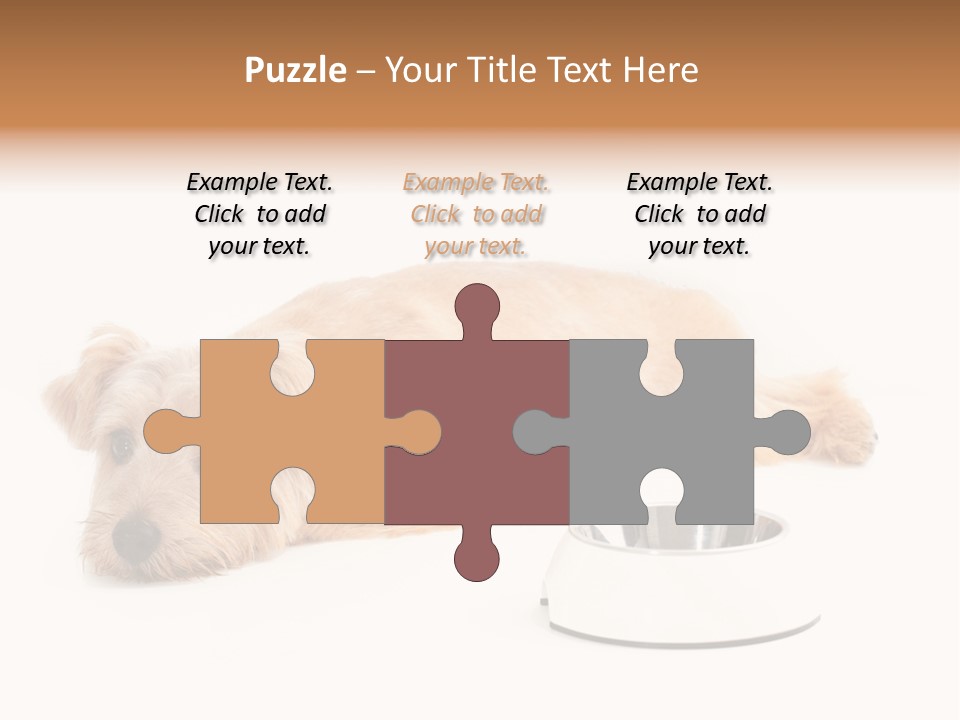 Pet Dish Tongue PowerPoint Template