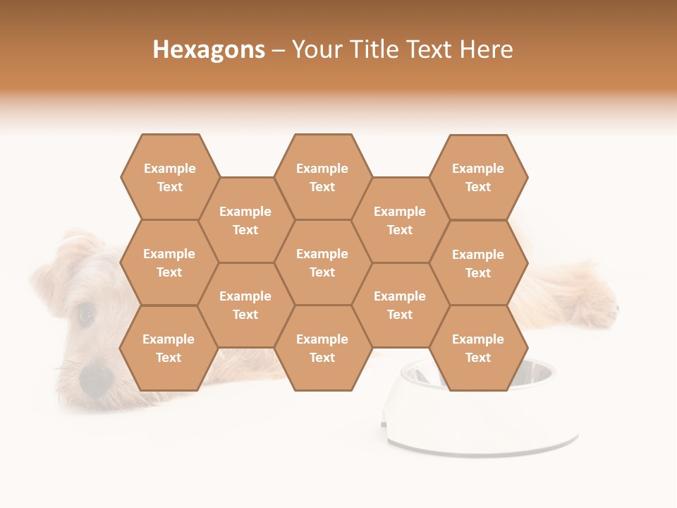 Pet Dish Tongue PowerPoint Template