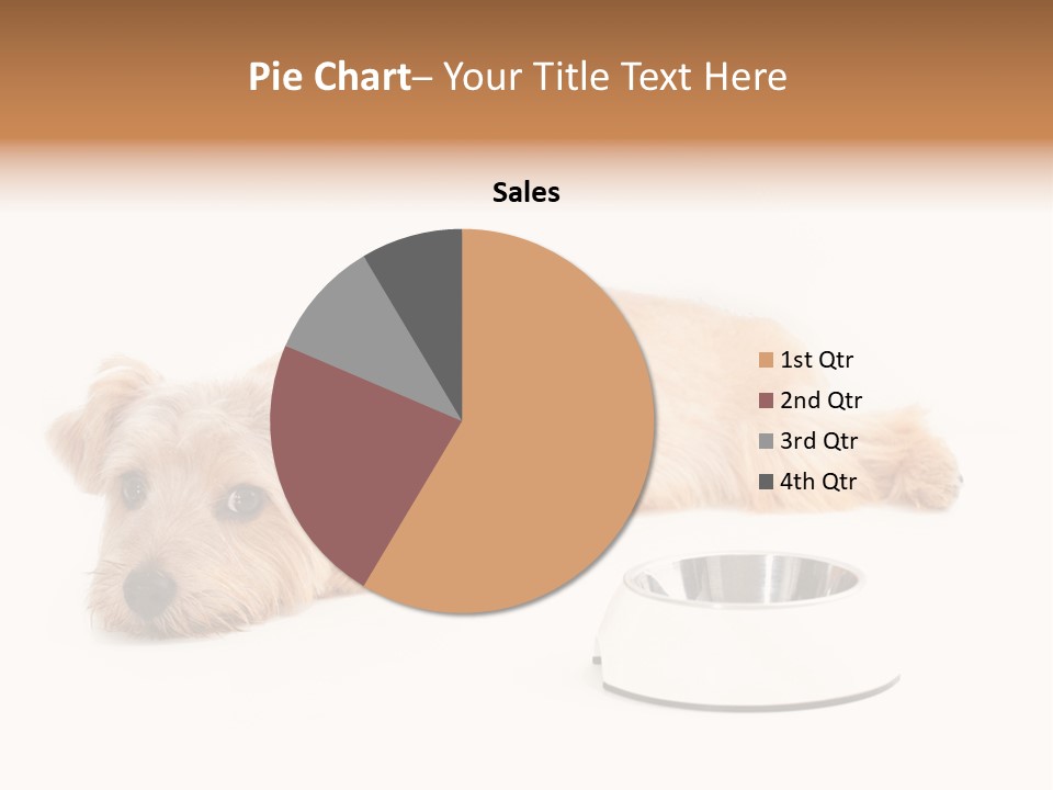 Pet Dish Tongue PowerPoint Template