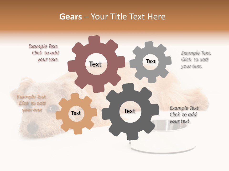 Pet Dish Tongue PowerPoint Template