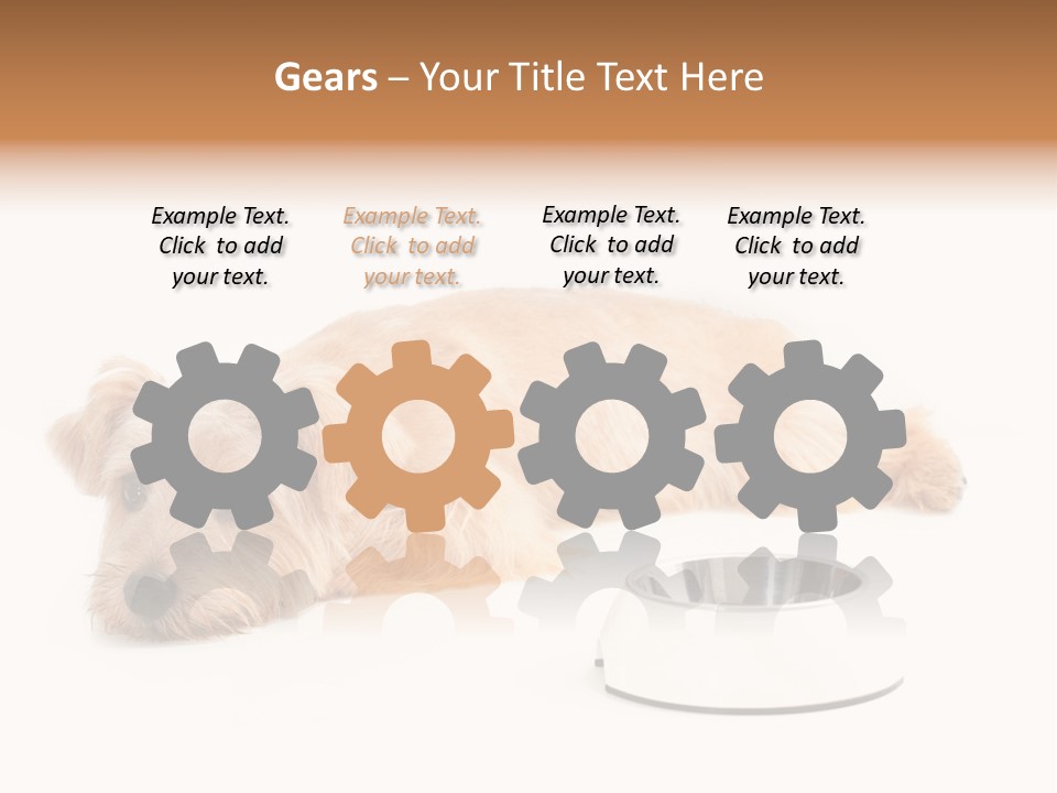 Pet Dish Tongue PowerPoint Template